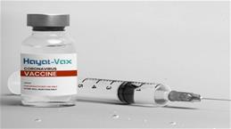 1 triệu liều vaccine Hayat-Vax được cấp chứng nhận xuất xưởng