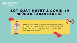 Sốt xuất huyết và COVID-19: Cách phân biệt để tránh nhầm lẫn