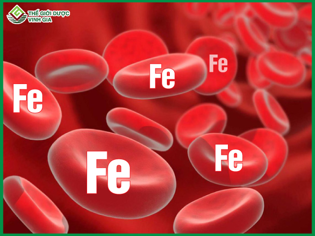 Lượng sắt có trong máu đóng vai trò rất quan trọng đối với sự sống của cơ thể
