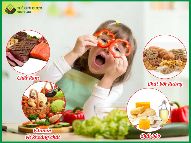 Chế độ ăn cho trẻ còi xương cần cân đối và cung cấp đầy đủ 4 nhóm dưỡng chất