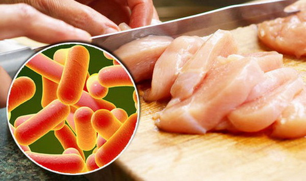 Vi khuẩn Salmonella có thể tồn tại trong nước đá vài tháng và ở nhiều thực phẩm