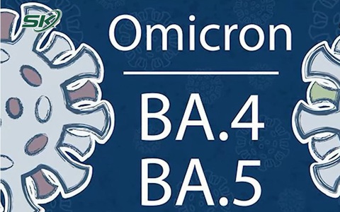 Tại Việt Nam, biến thể phụ BA.4, BA.5 đã xâm nhập và ghi nhận các ca bệnh COVID-19 tại TP HCM, Hà Nội nhiễm biến thể này. Các biến thể được cho là có khả năng lây lan nhanh.