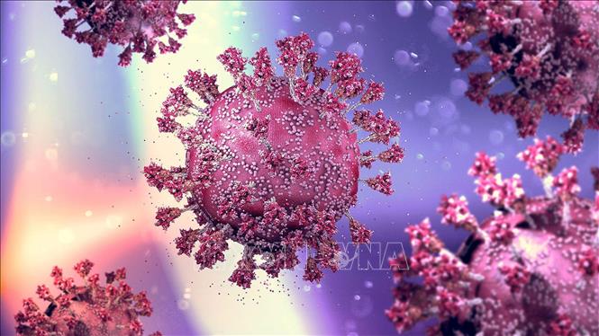 Hình ảnh mô phỏng virus SARS-CoV-2 gây bệnh COVID-19. Ảnh: MedPage Today/TTXVN