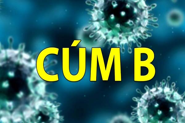 Chuyên gia Bệnh viện Nhi TW cho hay phần lớn bệnh cúm B nhẹ tự khỏi, tuy nhiên virus cũng có thể gây biến chứng nặng như viêm phổi do virus cúm hoặc do bội nhiễm vi khuẩn. Các biến chứng nghiêm trọng khác hiếm gặp hơn như: viêm cơ tim, viêm não, viêm cơ tiêu cơ vân, suy đa cơ quan nhưng rất hiếm.