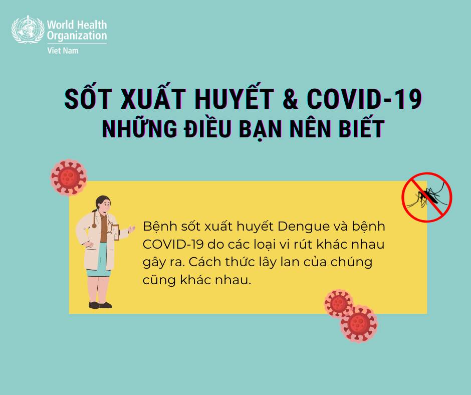 Infographic_Sốt xuất huyết và COVID-19 - Những điều bạn nên biết